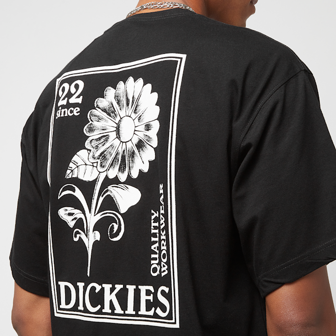 Dickies Garden Plain Tee Short Sleeve preto 26869 3