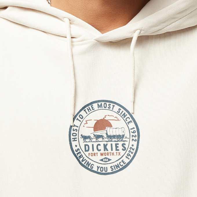 Dickies Greenburg Hoodie bege 26870 3