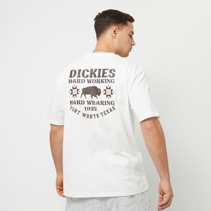 Dickies Hays Tee Shortsleeve blanc 26896 1