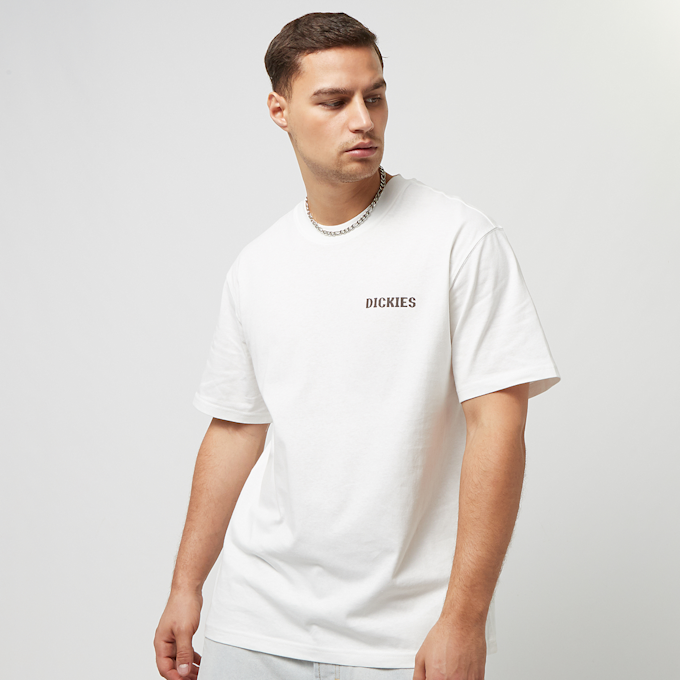 Dickies Hays Tee Shortsleeve blanco 26896 2