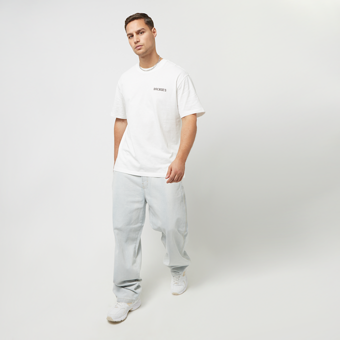 Dickies Hays Tee Shortsleeve branco 26896 5