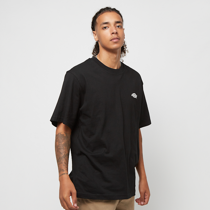 Dickies Summerdale Tee Short Sleeve marrone 27004 1