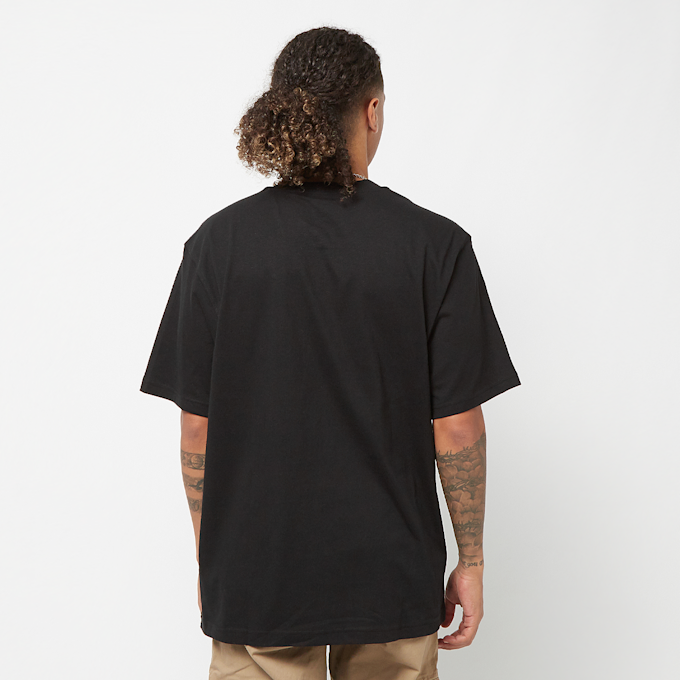 Dickies Summerdale Tee Short Sleeve marrón 27004 2