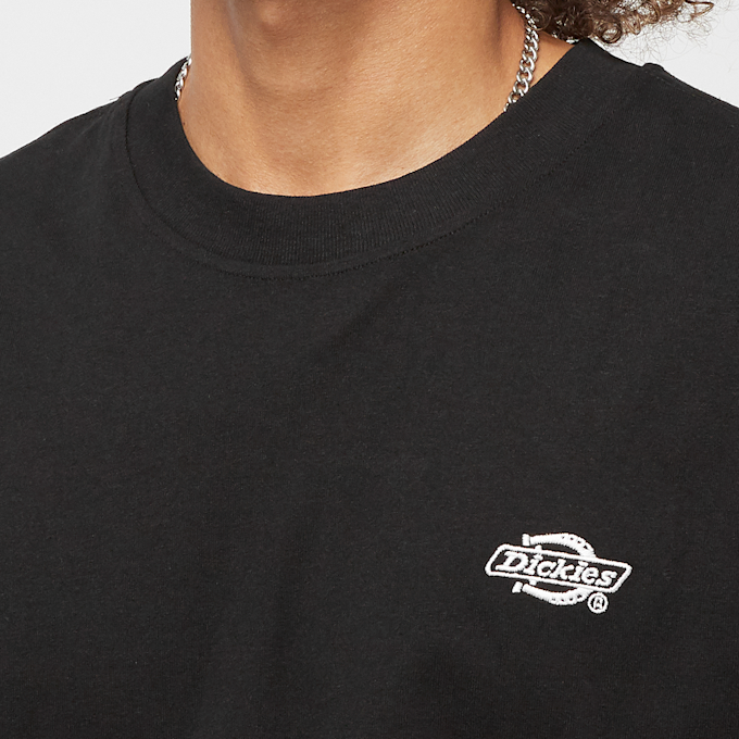 Dickies Summerdale Tee Short Sleeve marrone 27004 3