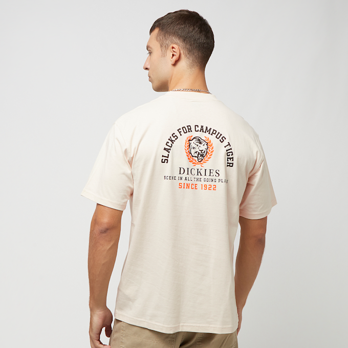 Dickies Westmoreland Tee Short Sleeve branco 27069 1