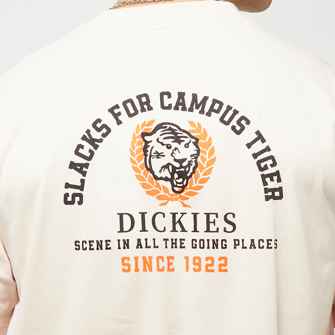 Dickies Westmoreland Tee Short Sleeve biały 27069 4