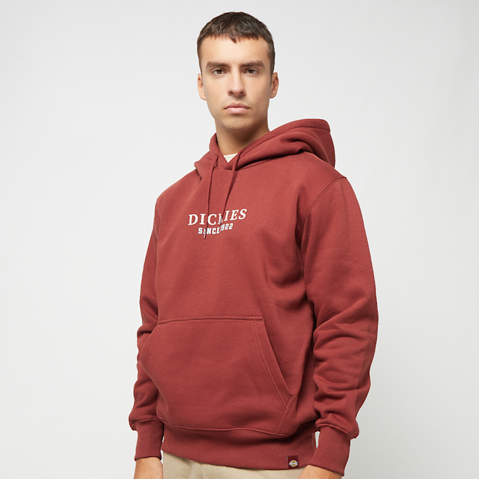 Dickies Park Hoodie rood 27077 1