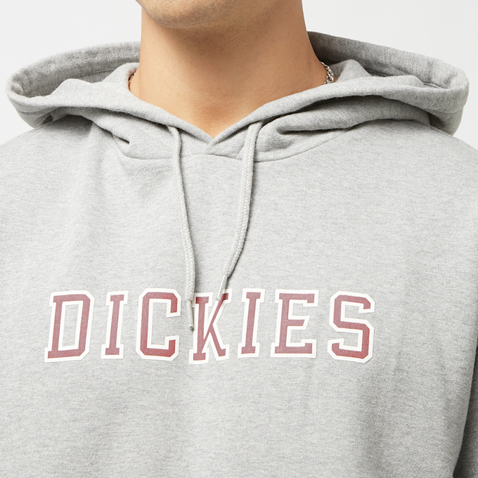 Dickies Melvern Hoodie cinzento 27079 3