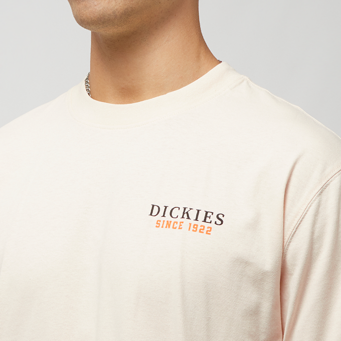 Dickies Westmoreland Tee Short Sleeve beż 27083 3