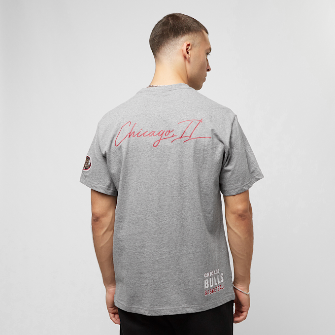 Mitchell & Ness NBA Chicago Bulls City Collection grijs 27965 2