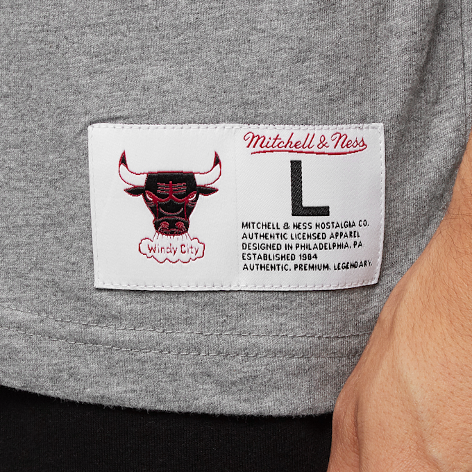 Mitchell & Ness NBA Chicago Bulls City Collection grigio 27965 3