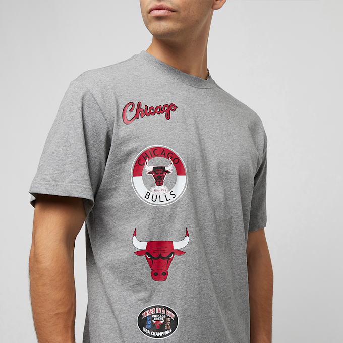 Mitchell & Ness NBA Chicago Bulls City Collection gris 27965 5