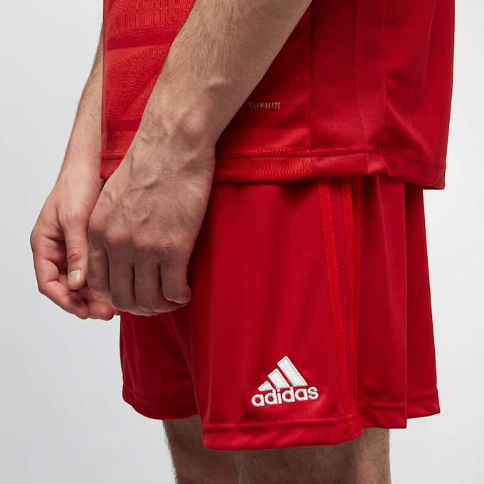 adidas Originals Basketball Fleece Short gris 28098 5