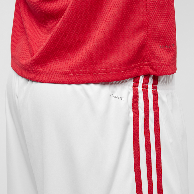 Zoo York Signature Nylon Shorts vermelho 28114 7