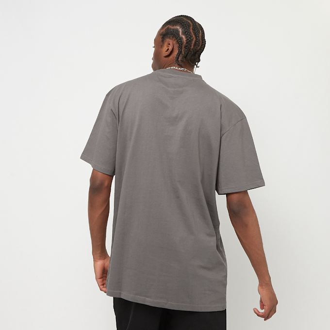 Karl Kani Small Signature Essential Tee grigio 23207 2