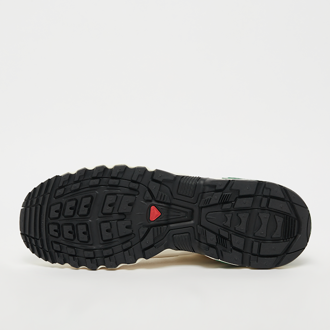 Salomon ACS + beige 23617 4