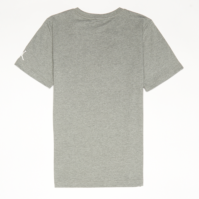 Jordan Junior 23 Gold Line S/S Tee szary 23773 2