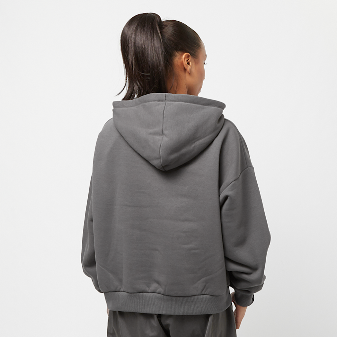 Karl Kani Small Signature Essential Oversized Hoodie cinzento 24393 2