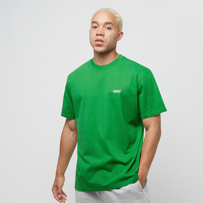SNIPES Small Logo Essential Tee zelena 24653 1