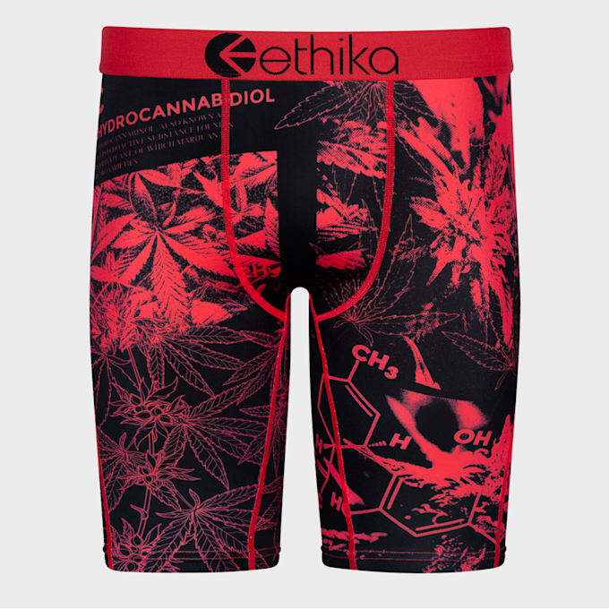 Ethika Higher E.D. multicolorido 24909 1