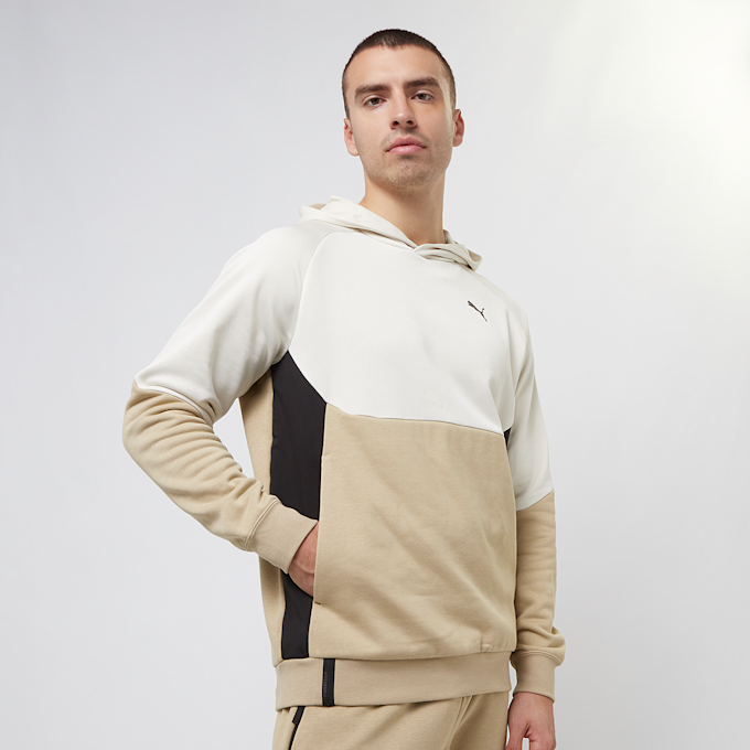 PUMA Pumatech Hoodie FL beige 28414 1