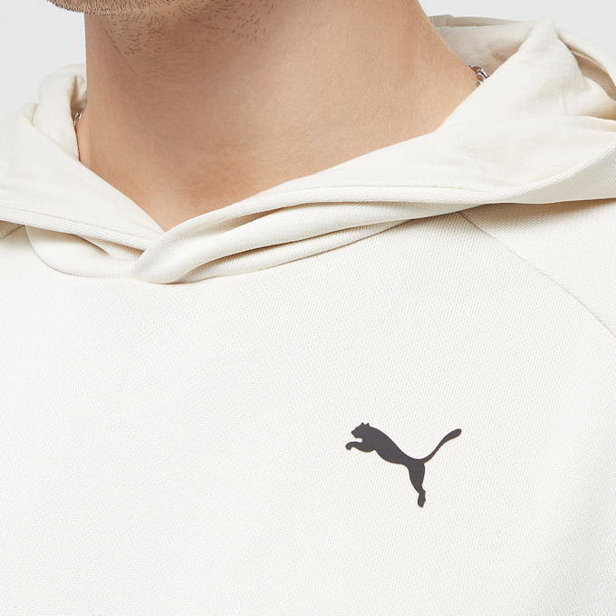 PUMA Pumatech Hoodie FL bež 28414 3