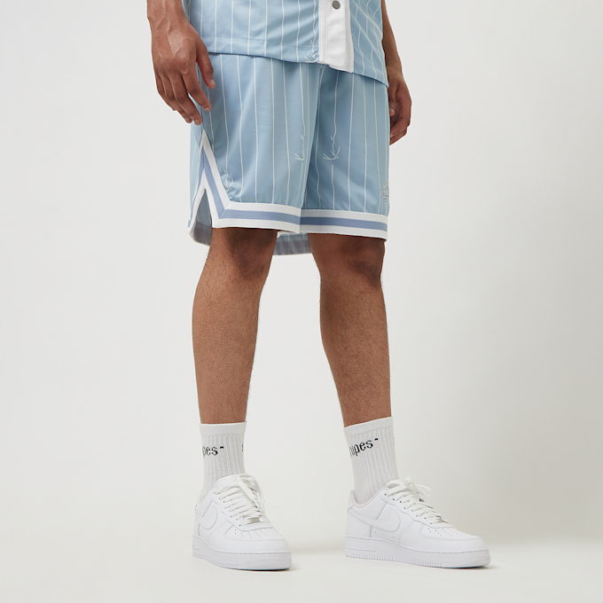 Karl Kani Small Varsity Logo Pinstripe Mesh Shorts azul 28642 1