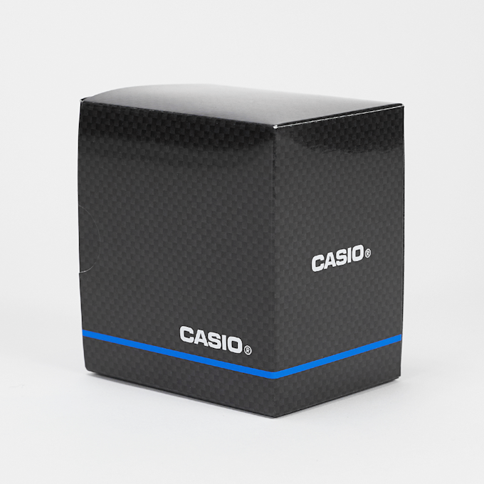 CASIO MTP-1302PD-1A1VEF prateado 29002 3