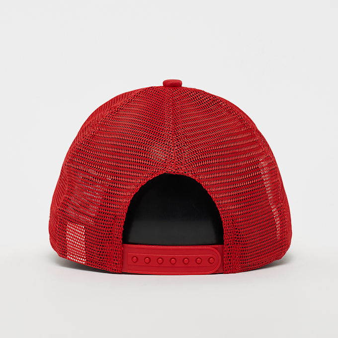 New Era Oval Trucker New Era Branded multicolor 29219 2