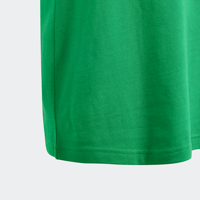 adidas Originals adicolor Big Trefoil T-Shirt verde 30165 5