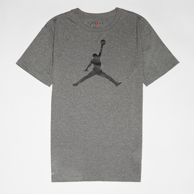 Jordan Jumpman Logo Dri Fit Tee grijs 30346 1