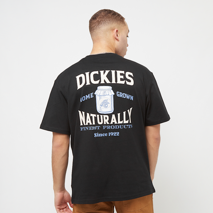 Dickies Elliston Tee Shortsleeve schwarz 30590 1