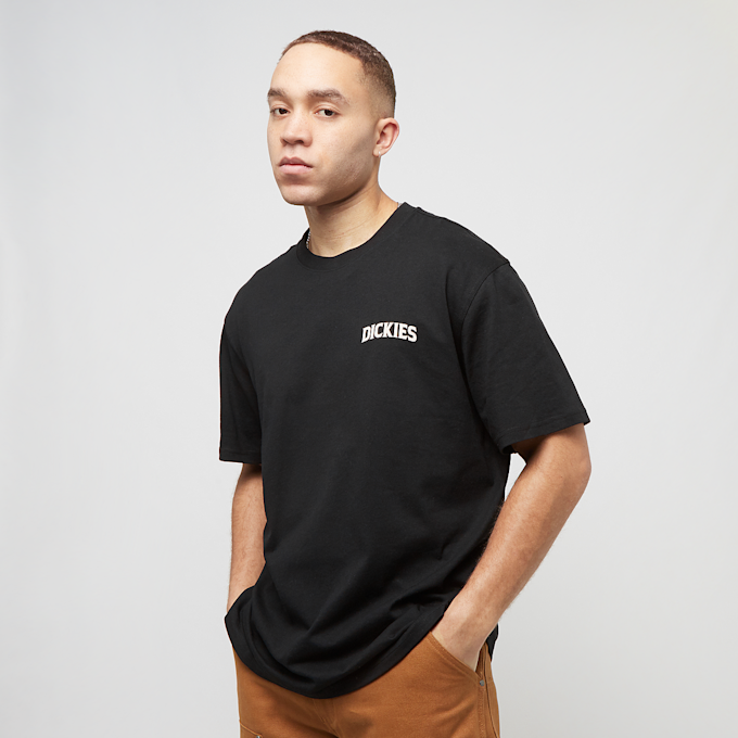 Dickies Elliston Tee Shortsleeve crna 30590 2