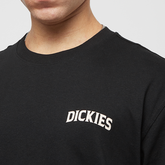 Dickies Elliston Tee Shortsleeve zwart 30590 3