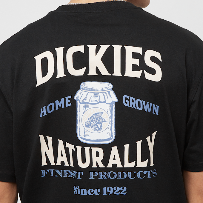 Dickies Elliston Tee Shortsleeve preto 30590 4