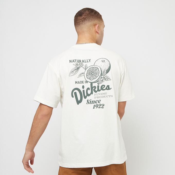 Dickies Raven Tee Shortsleeve biały 30594 1
