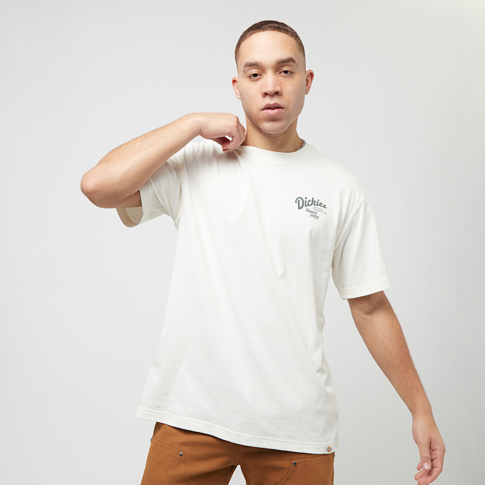 Dickies Raven Tee Shortsleeve blanc 30594 2