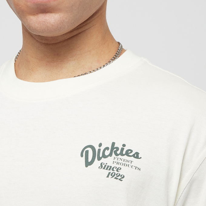 Dickies Raven Tee Shortsleeve blanco 30594 3