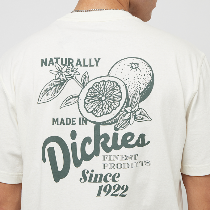 Dickies Raven Tee Shortsleeve weiß 30594 4