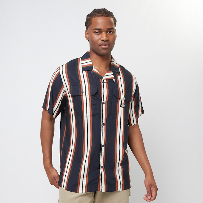 Dickies Forest Shirt Ss blau 30599 1