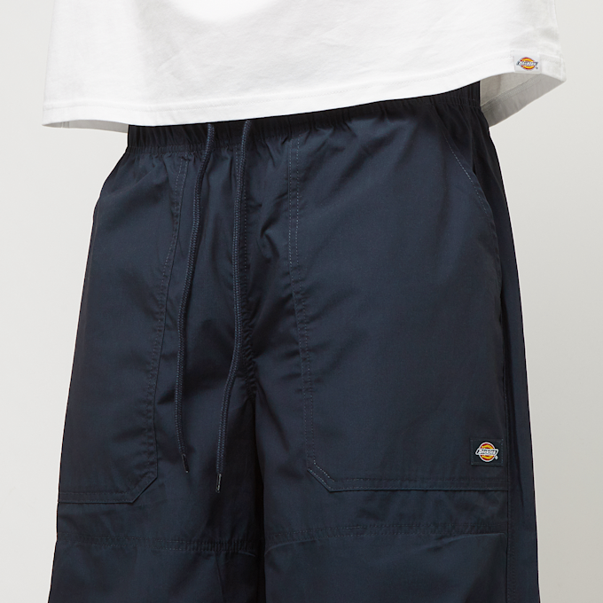 Dickies Fisherville Pant azul 30671 3