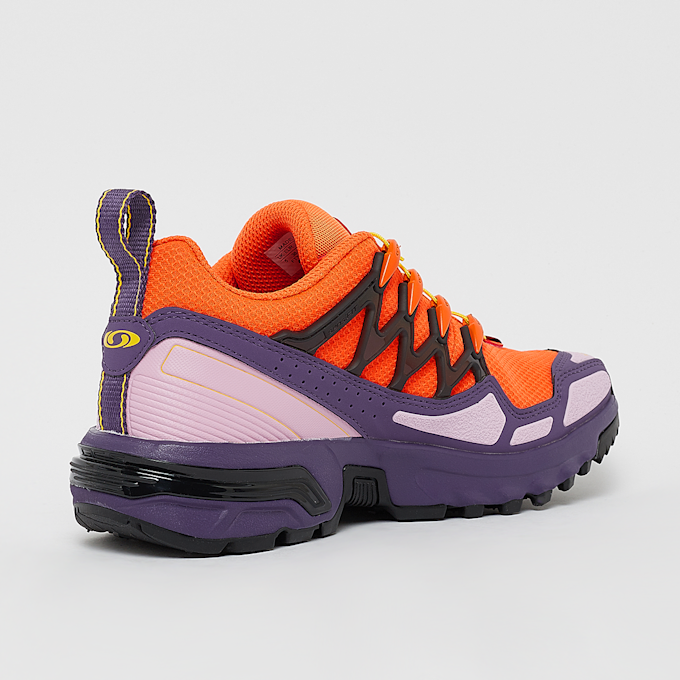 Salomon ACS+ Heritage Pack multicolor 30734 3