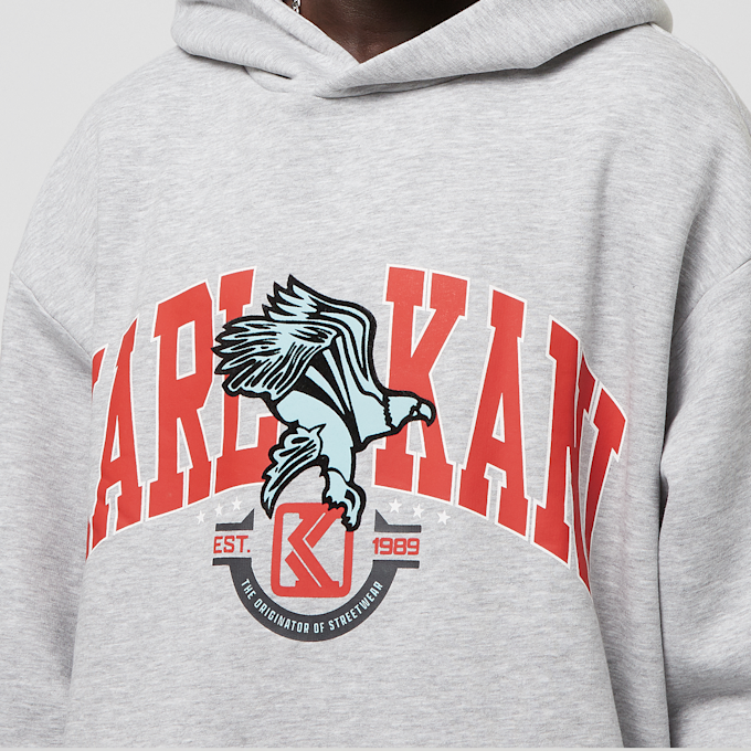 Karl Kani OG Eagle Print Oversized Hoodie siva 30742 3