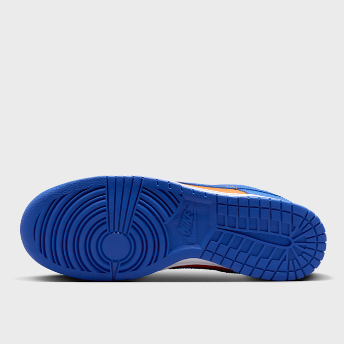 Nike Dunk Low Retro multicolore 31240 3