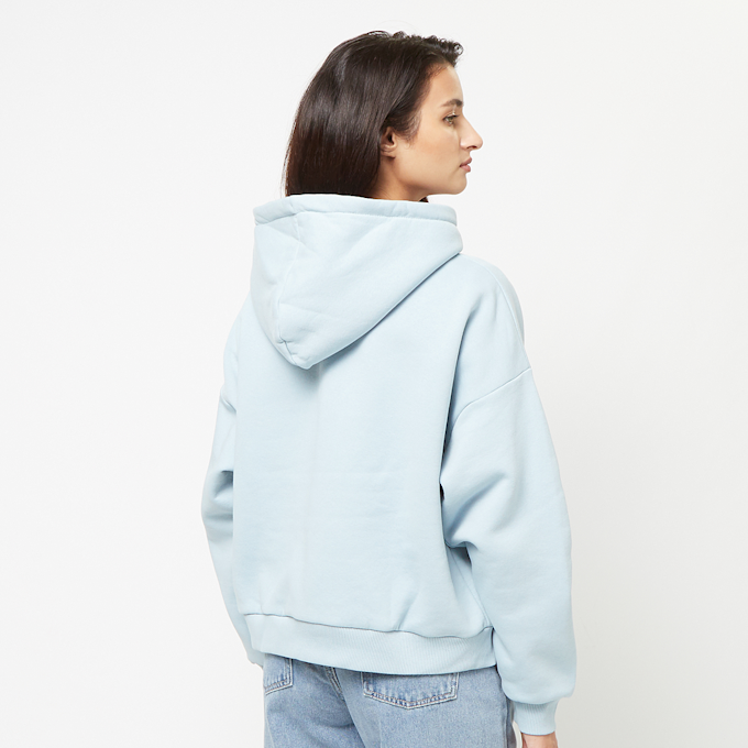 Karl Kani Small Signature Essential Oversized Hoodie azul 31296 2