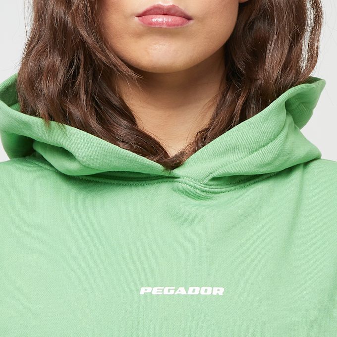 Pegador Atna Logo Oversized Hoodie zielony 31869 3