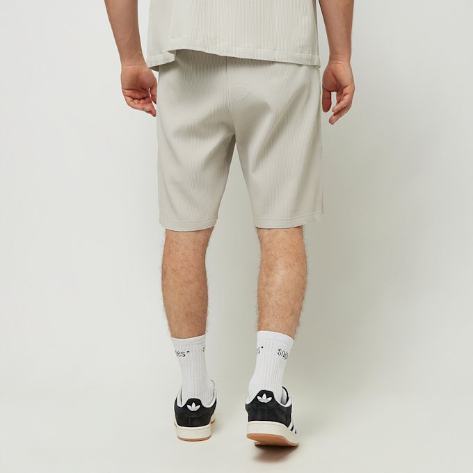 Pegador Troy Plissee Shorts szary 31950 2