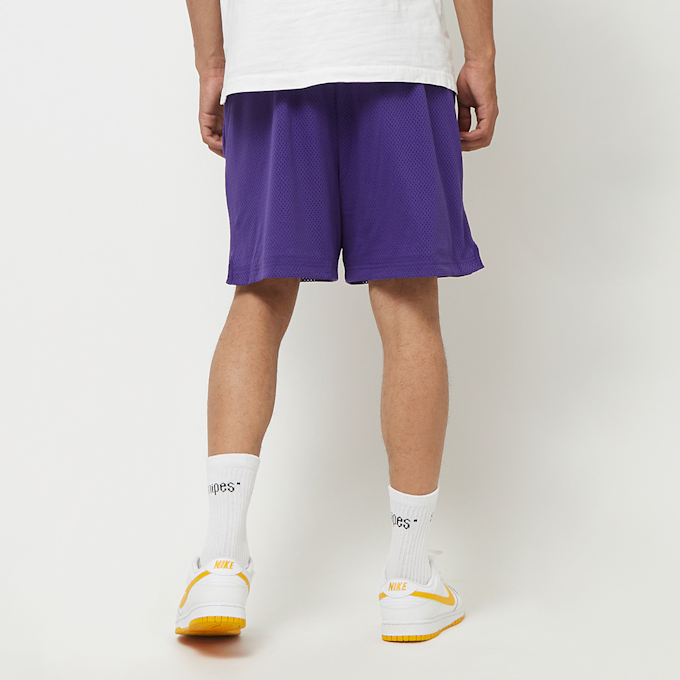 Nike Los Angeles Lakers NBA Mesh-Shorts violeta 32670 2