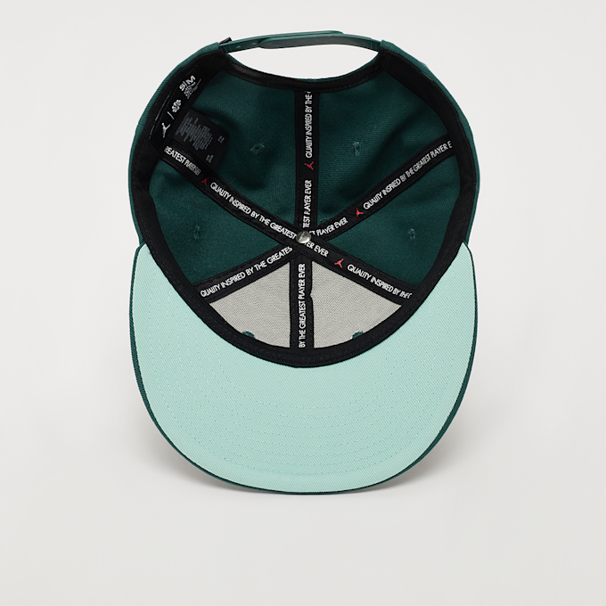 Jordan Jumpman Pro Snapback grün 29871 3