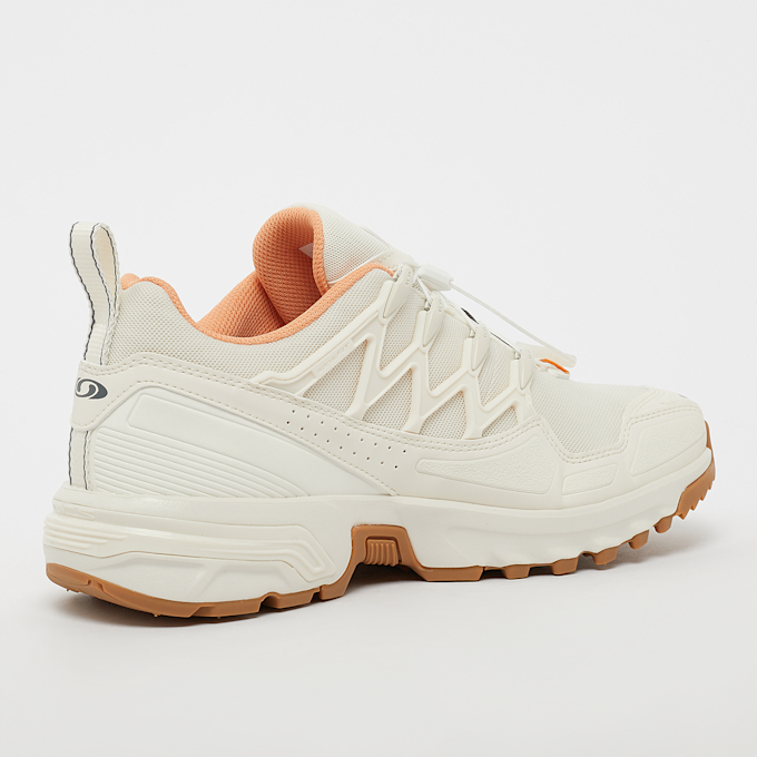 Salomon ACS+ beige 30087 3